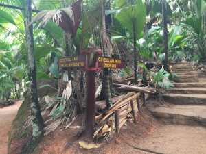 Vallee de Mai