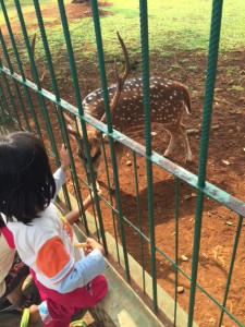 Jakarta deer park