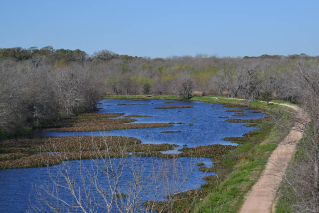 Brazos Bend State Park